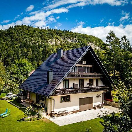 Appartement Tourist house Capricorn à Bled Extérieur photo